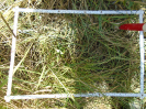 PA_1557_2_613b