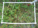 PA_1557_2_614c