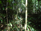 PA_1557_3_616