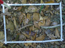 PA_1557_3_617a