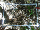 PA_1557_3_618b