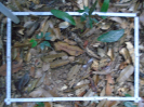 PA_1557_4_622a