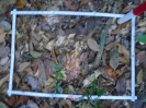 PA_1557_4_623b