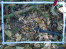PA_1557_4_624c