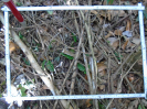 PA_1558_1_1223a