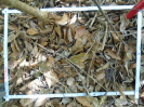 PA_1558_1_1224b