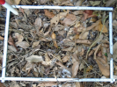 PA_1558_1_1226d