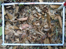 PA_1558_2_1230c