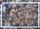 PA_1558_2_1231d
