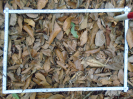 PA_1558_3_1235b