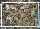 PA_1558_3_1238d