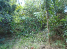 PA_1558_4_1239