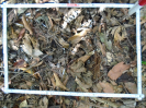 PA_1558_4_1241b