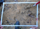 PA_1558_4_1242c