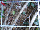 PA_1558_4_1243d