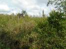 PA_1606_0_782