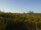 PA_1606_1_798