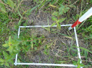 PA_1606_1_801b