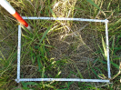 PA_1606_1_803d