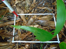 PA_1606_2_784a