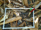 PA_1606_2_785b