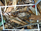 PA_1606_2_786c