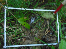 PA_1606_3_791c