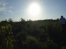 PA_1606_3_793