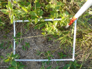 PA_1606_4_795b