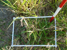 PA_1606_4_796c