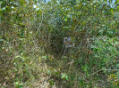 PA_1612_0_156