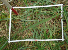 PA_1612_1_163a