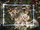 PA_1612_1_164b