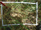PA_1612_1_165c
