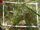 PA_1612_1_166d