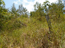PA_1612_2_157