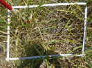 PA_1612_2_158a