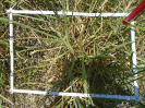PA_1612_2_159b