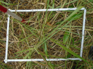 PA_1612_2_161d