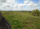 PA_1657_3_50