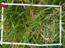 PA_1657_3_51a