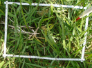 PA_1657_3_52b