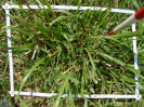 PA_1657_3_53c
