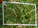 PA_1657_3_54d
