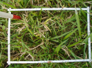 PA_1657_4_56a