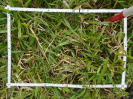 PA_1657_4_57b