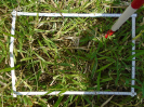 PA_1657_4_58c
