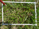 PA_1657_4_59d