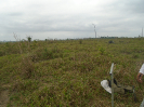 PA_1662_0_594