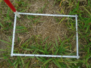 PA_1662_1_595a